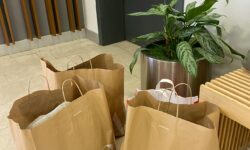 Inditex: Zara group may close 100+ stores worldwide, focus on larger, more techy stores