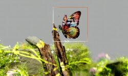 Így dolgozik együtt ember és AI – a mesterséges intelligencia forradalma a munkahelyeken