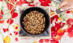 Klímatűrő alternatíva a szántóföldeken: a földimogyoró lehet az egyik nyertese az éghajlatváltozásnak