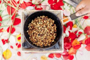 Klímatűrő alternatíva a szántóföldeken: a földimogyoró lehet az egyik nyertese az éghajlatváltozásnak