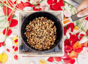 Klímatűrő alternatíva a szántóföldeken: a földimogyoró lehet az egyik nyertese az éghajlatváltozásnak