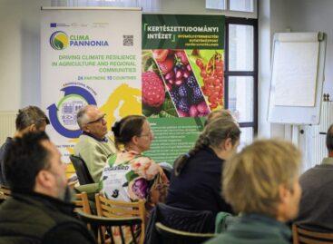 Domestic berry production could get a boost