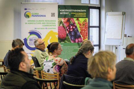 Új lendületet kaphat a hazai bogyósgyümölcs-termesztés