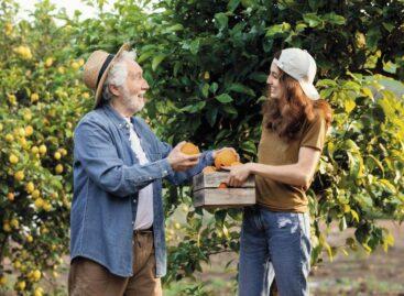 Átalakíthatja a mezőgazdasági munkaerőpiacot a növényi étrendre való átállás