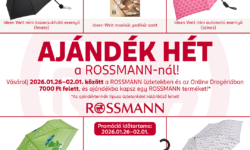 Rossmann is also preparing for rainy days: a free Ideen Welt product comes with every big January shopping trip