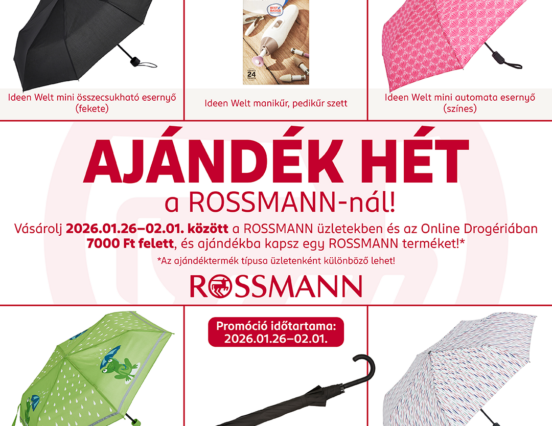 Rossmann is also preparing for rainy days: a free Ideen Welt product comes with every big January shopping trip