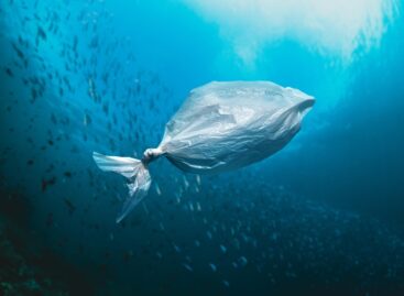 Mikroműanyagok hátrahagyása nélkül oldódik fel a tengervízben az új növényi alapú „műanyag” szatyor