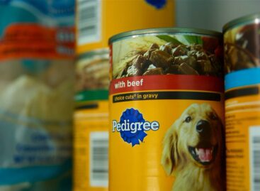 Mars coy over Kazakhstan pet-food project