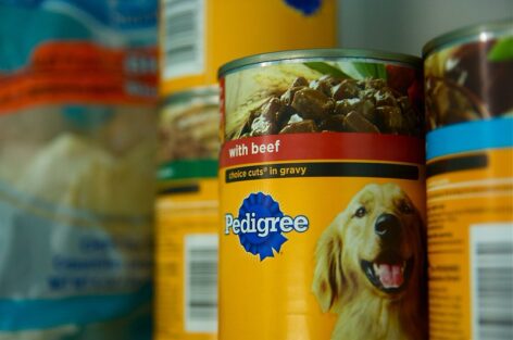 2031-ben indulhat a termelés a Mars kazahsztáni állateledel gyárában