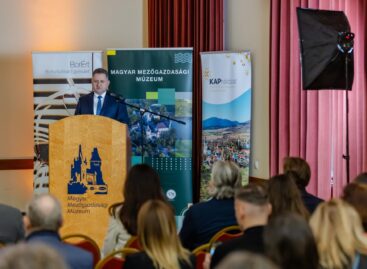 Támogatásokkal és intézkedésekkel segíti az agrártárca a szőlő- és borágazatot