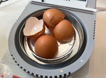 What is the use of eggshells, which our grandparents held in even greater esteem?