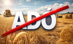 Január 1-től csökkennek a gazdák adó- és adminisztrációs terhei