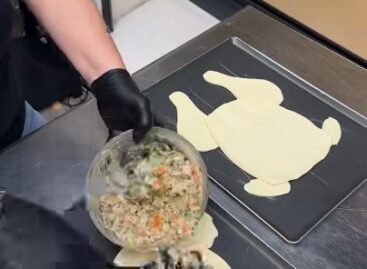 (HU) Csirkepite – A nap videója