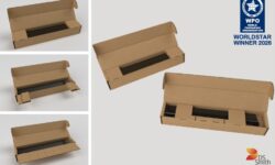 DS Smith wins two WorldStar awards