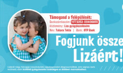 „Fogjunk össze Lizáért!” – Egy 3 éves agydaganattal küzdő kislány életéért indult országos összefogás
