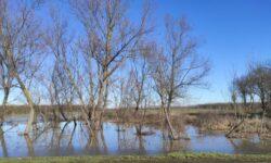 Water retention and ecological water replenishment: from now on, every idea will go into your pocket