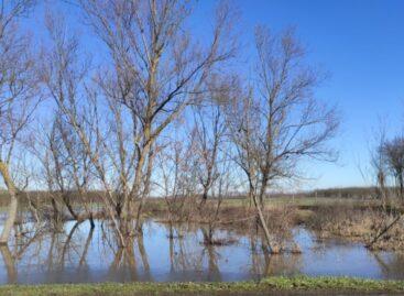 Vízmegtartás és ökológiai vízpótlás: innentől zsebre megy minden ötlet