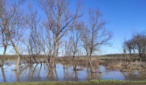 Vízmegtartás és ökológiai vízpótlás: innentől zsebre megy minden ötlet
