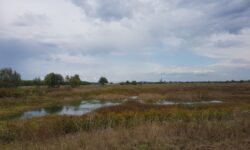 Water retention and ecological water replenishment: from now on, every idea goes into your pocket