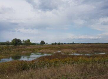 Water retention and ecological water replenishment: from now on, every idea goes into your pocket