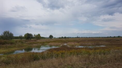 Vízmegtartás és ökológiai vízpótlás: innentől zsebre megy minden ötlet