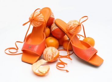 Ha az élelmiszer a művész témája, eszköze, médiuma – A nap képe