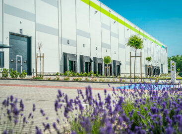 HelloParks continued to grow