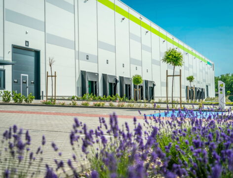 HelloParks continued to grow