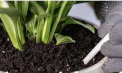 An “iron-deficient” yield enhancer was also found in the Supermint nutrition bar test