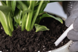 An “iron-deficient” yield enhancer was also found in the Supermint nutrition bar test