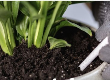 An “iron-deficient” yield enhancer was also found in the Supermint nutrition bar test