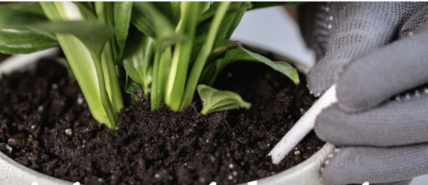 „Vashiányos” termésnövelő is akadt a Szupermenta táprúd tesztjén