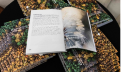 Megjelent a ZÖLDGAZDASÁG 2026 c. tanulmánykötet