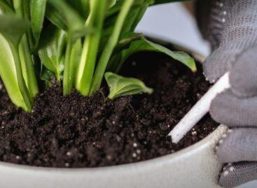 “Iron-deficient” yield enhancer also found in Superminta nutrition bar test