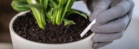 “Iron-deficient” yield enhancer also found in Superminta nutrition bar test