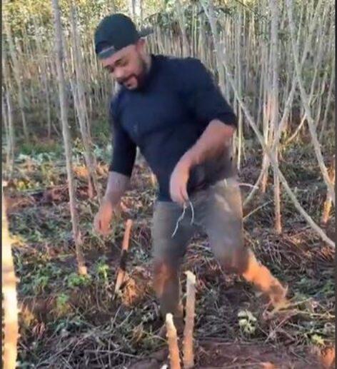 Érdekel, mi az a manióka? – A nap videója