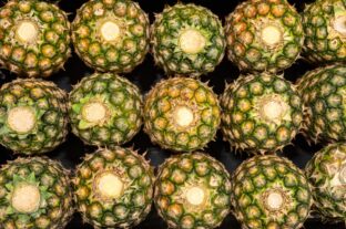 PENNY Hungary is the first to introduce the sale of crownless pineapple in Hungary