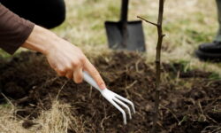 Adatalapú karbonlábnyom-csökkentés a gyakorlatban: mérés és kompenzáció a SPAR meghatározó rendezvényein