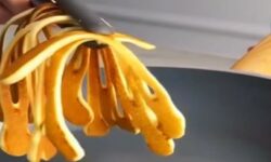 Palacsinta-spagetti – A nap videója