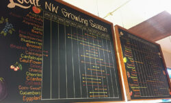 Útmutató a delikátüzlet zöldségosztályán – A nap képe