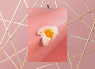 (HU) A Tojás sorozat – A nap képe