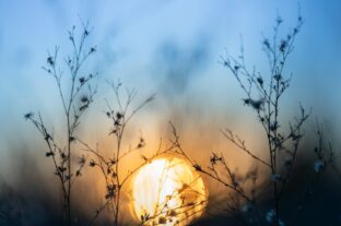 Blue Monday: miközben a „leglehangolóbb nap” visszatérő jelenség, a megkérdezett magyarok fele mégis tudatos tervekkel vág neki 2026-nak