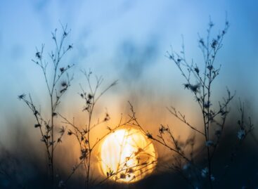 Blue Monday: while the “most depressing day” is a recurring phenomenon, half of the Hungarians surveyed are still making conscious plans for 2026