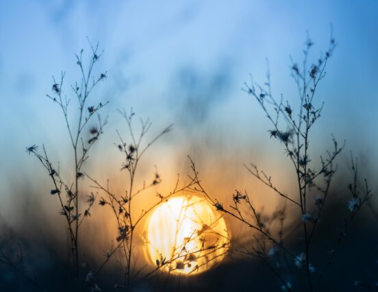 Blue Monday: while the “most depressing day” is a recurring phenomenon, half of the Hungarians surveyed are still making conscious plans for 2026