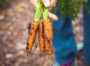 New Year, Clean Start: Here’s Why You Should Eat More Organic Food