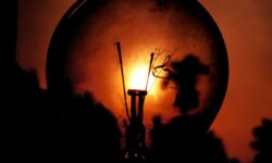 OTP Bank: there is no recession in the world despite the US tariff war