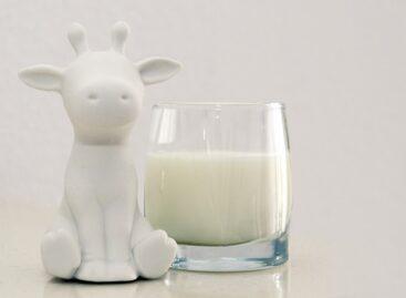 Újabb pályázattal segíti az agrártárca a tejtermelő gazdálkodókat