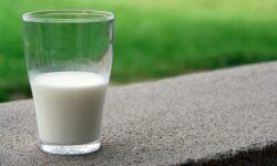 Raw milk prices decreased in December
