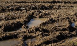 Agrometeorology: soil recharge is slow in the central part of the country
