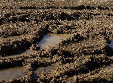 Agrometeorológia: a középső országrészben vontatottan halad a talajok feltöltődése